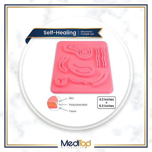 Ear Model Suture Practice Pad – 3-Layer Human Skin Silicone Training Pad for Medical & Vet Students | AU Stock