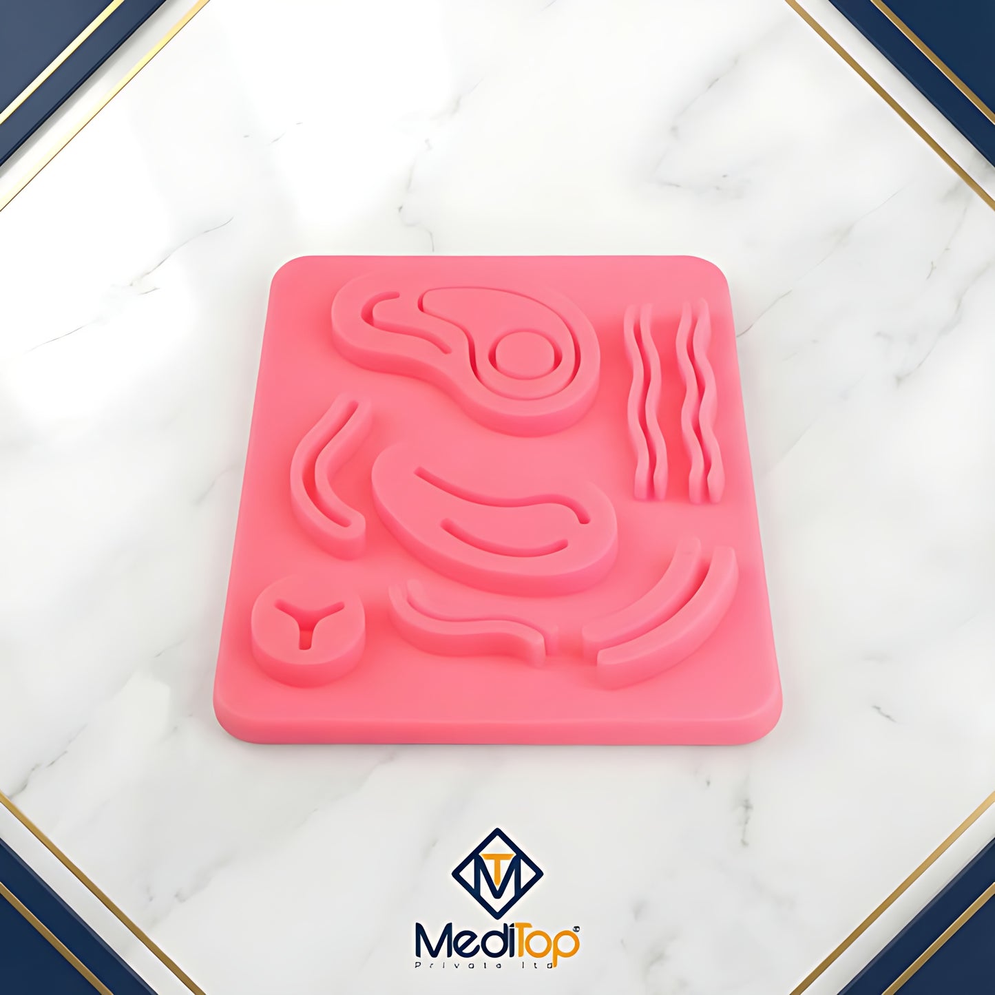 Ear Model Suture Practice Pad – 3-Layer Human Skin Silicone Training Pad for Medical & Vet Students | AU Stock