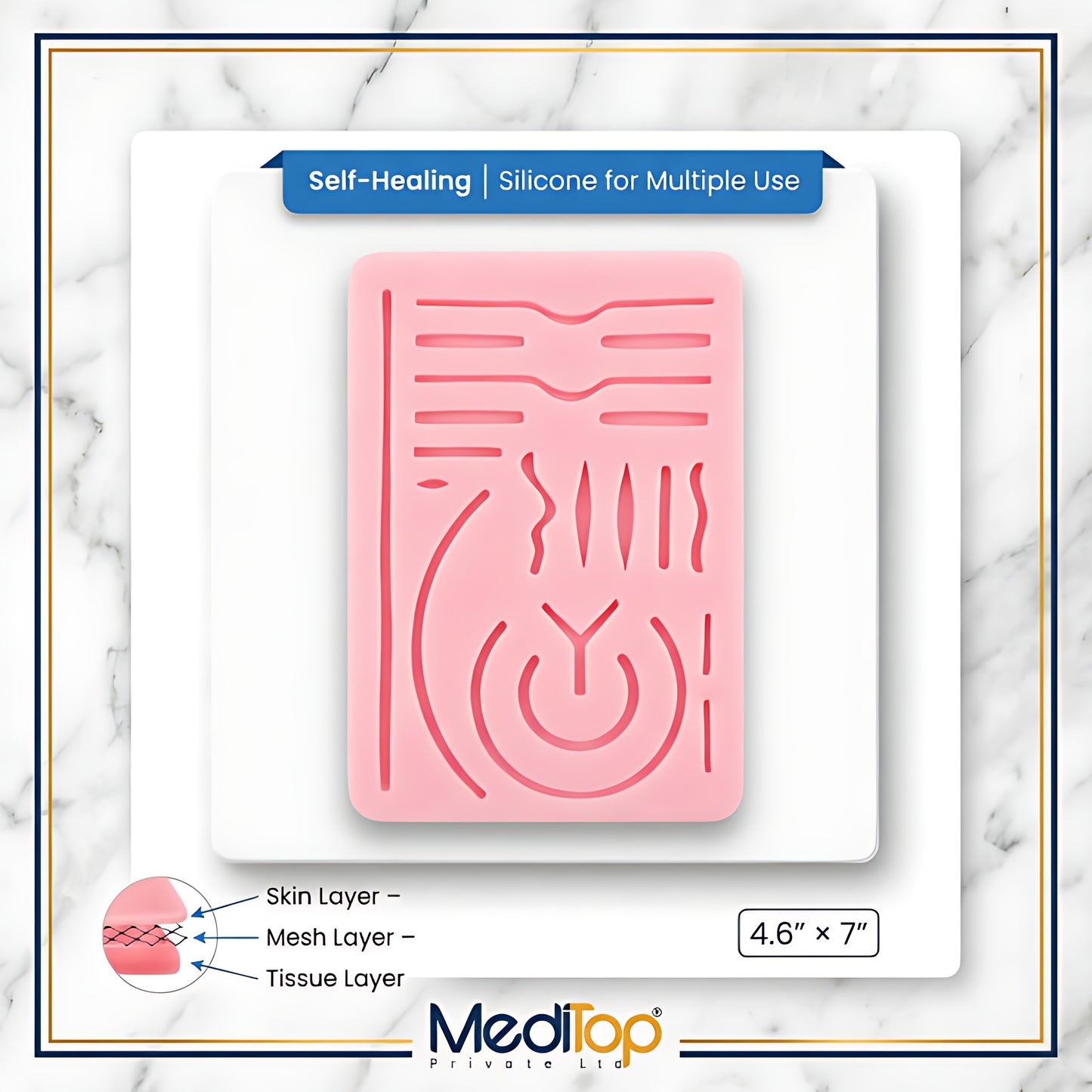 Neuro Surgery Suture Practice Pad – 3-Layer Human Skin Model (12mm) for Medical & Veterinary Training